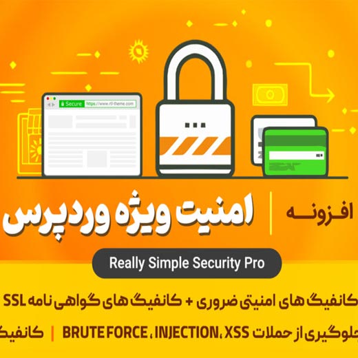 افزونه Really Simple Security Pro